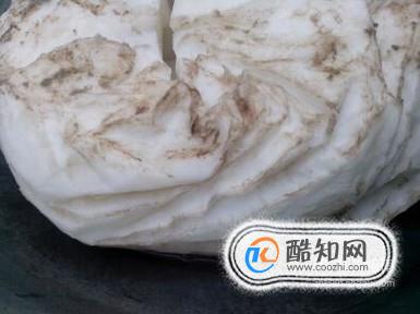 什么样的太岁肉灵芝品质最好？
