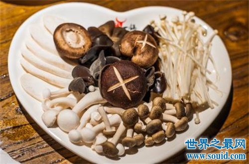 什么菌类好吃还没毒 看了我饿了