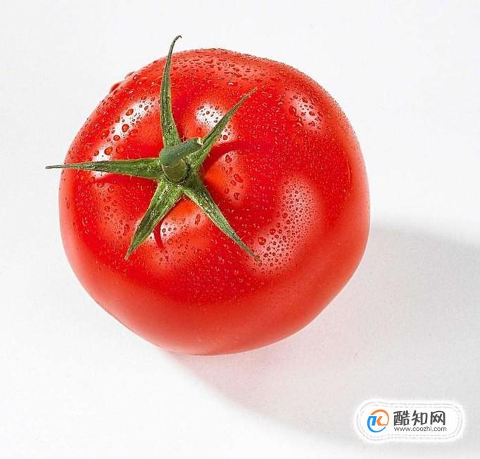 西红柿减肥法 如何利用西红柿减肥