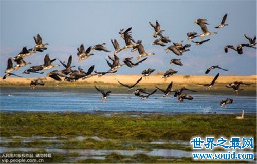 中国五大淡水湖中鄱阳湖最大，洪泽湖居然是人造湖