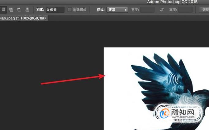 ps如何设置图片存储为web所用格式