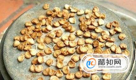 辣椒种植技术：种辣椒怎么提高产量？