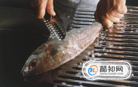 怎么快速刮鱼鳞？