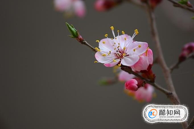 立春节气的由来 立春各地都吃什么