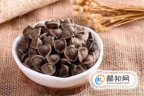 辣木籽的功效与作用有哪些？食用应注意的问题？