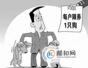 小区养狗扰民怎么办