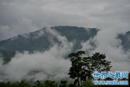 缅甸的野人山是一座十分可怕的山 据说很少有人活着走出去