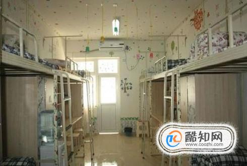 宿舍里养什么植物比较好