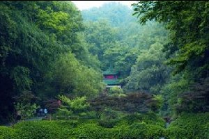 长沙好玩的地方 吃完美食不要忘了来这些美景游玩