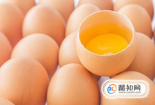 如何在食物中吸收蛋白质？