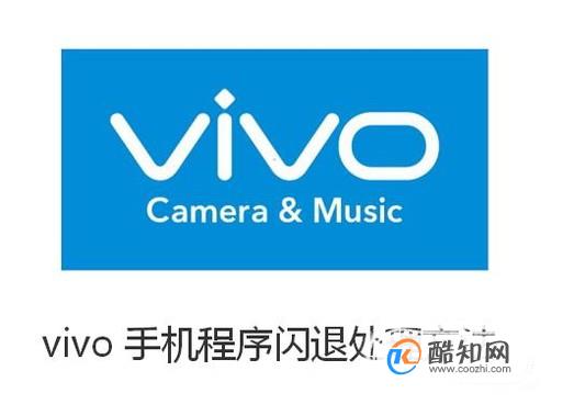 vivo手机程序闪退处理方法