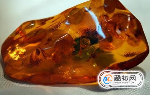 琥珀的在我国的产地有哪些