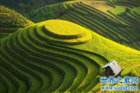 梯田是一道非常亮丽的风景线 是劳动人民智慧的结晶