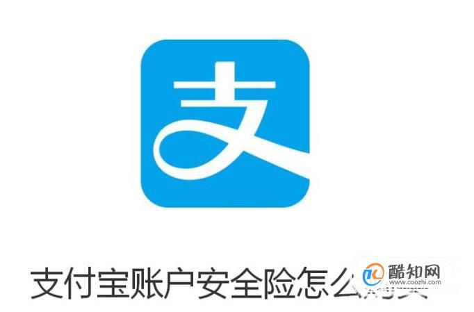 支付宝账户安全险怎么购买