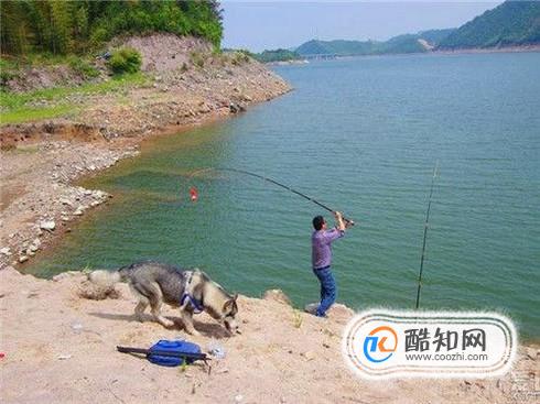 夏季野钓钓位选择技巧