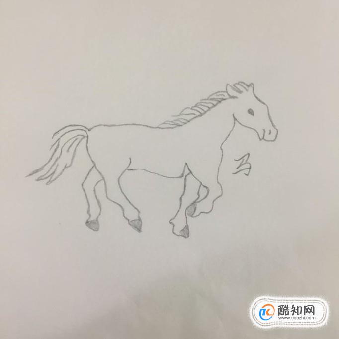 简笔画：生肖可爱马的画法