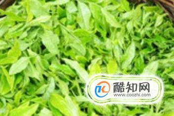 怎样挑选性价比高的新茶？