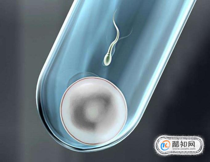 做试管婴儿预算是多少