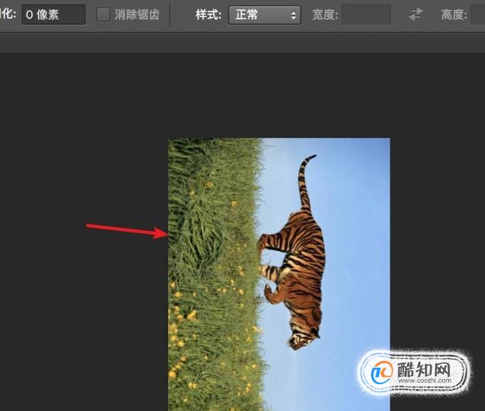 用PS怎样把竖版图片处理为横版图片