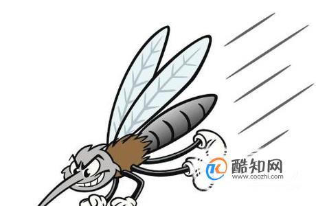 吸引蚊子的方法