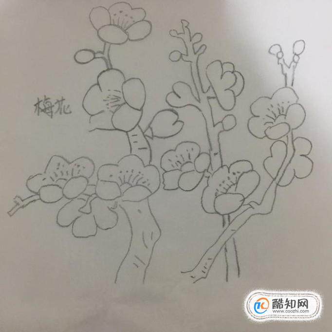 绘画系列之教你如何画简易梅花