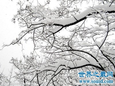 “我在北方的冬天里，大雪纷飞”冬天的图片