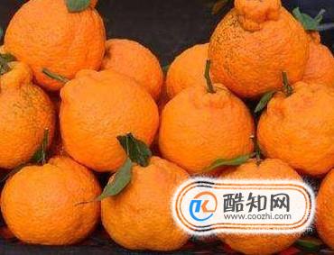 买水果时怎样挑选丑橘？