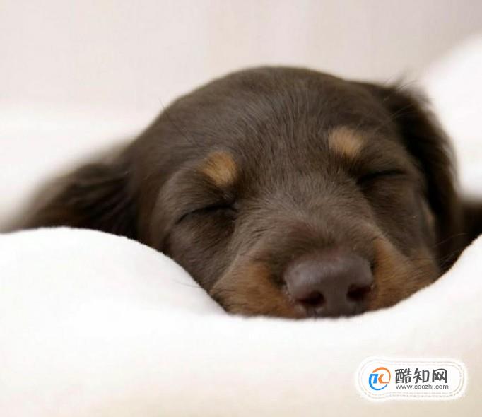教你4招轻松应对“节后综合症”