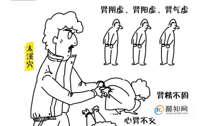 太溪穴位位置图和作用