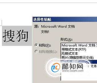 怎样利用word把文字变成图片？