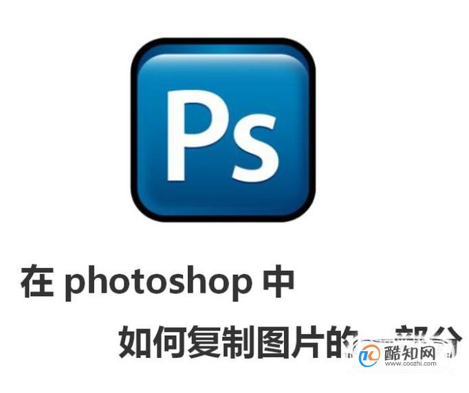 在photoshop中如何复制图片的一部分