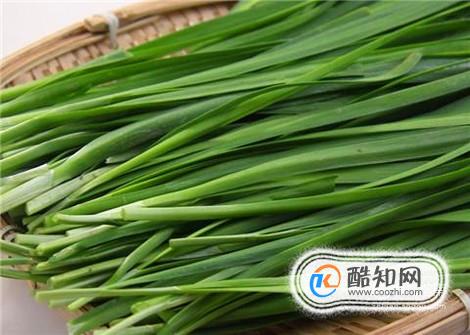 如何将韭菜处理干净