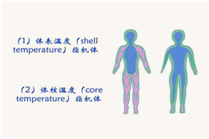 人体的正常温度是多少度 怎样正确测量小儿温度