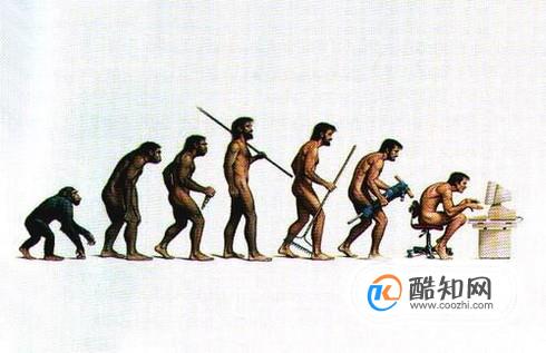 人类是怎么诞生的