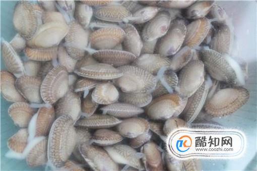 怎样正确洗花甲？