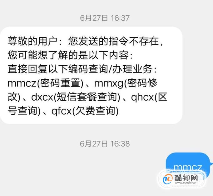 手机运营商服务密码怎么查