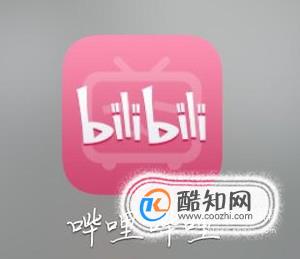 哔哩哔哩bilibili手机上如何下载视频