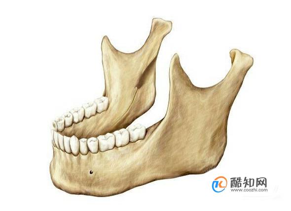 整容的原理是什么