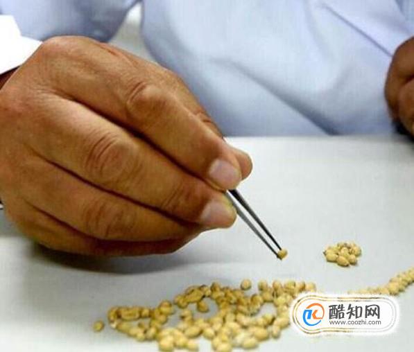 最简单的催芽方法