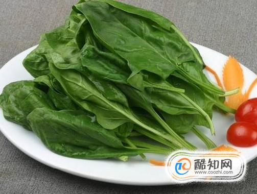 过劳肥适合吃哪些食物