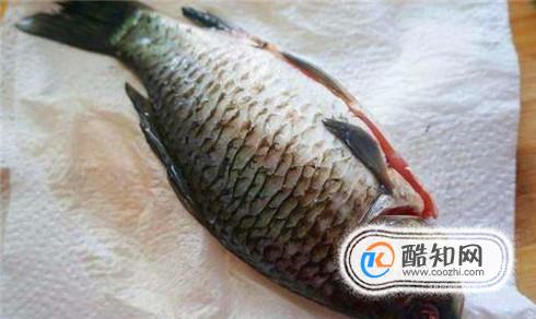 鲫鱼去除内脏和鱼鳃的小窍门（附两种吃法介绍）