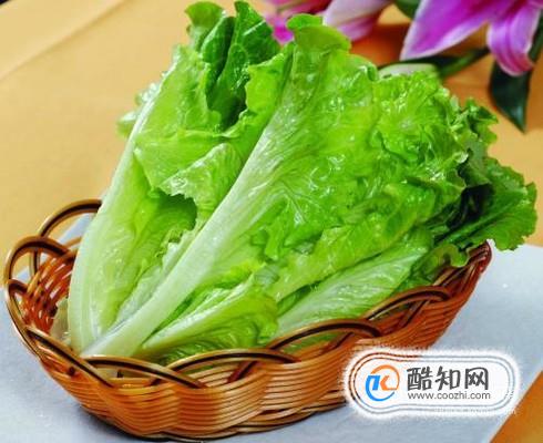 生菜的做法大全 怎么做蚝油生菜