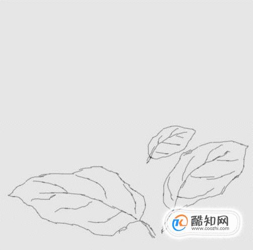 简笔画报花名：手绘铅笔画“白杜鹃花”画法