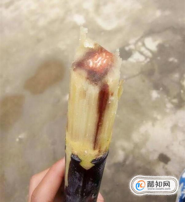 甘蔗里面发红是怎么回事？