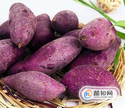 紫薯的育苗方法
