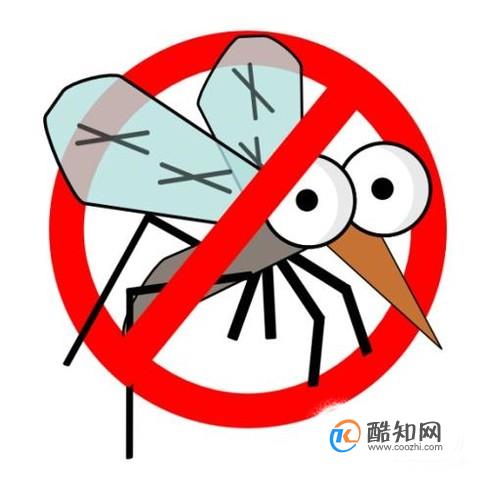 驱蚊产品 如何选择
