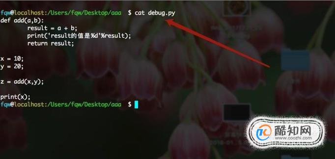 怎么用python的pdb模块进行调试？