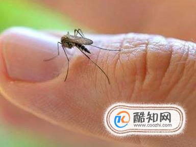 蚊子多怎么办，怎么防蚊