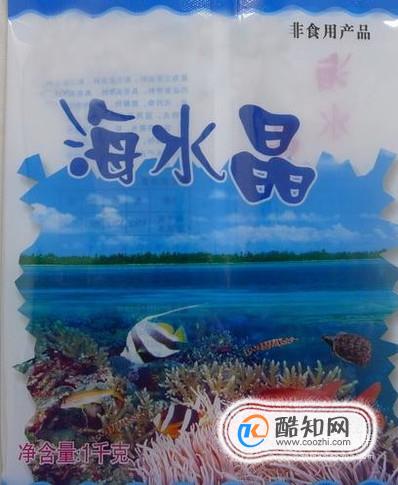 海水寄居蟹怎么养
