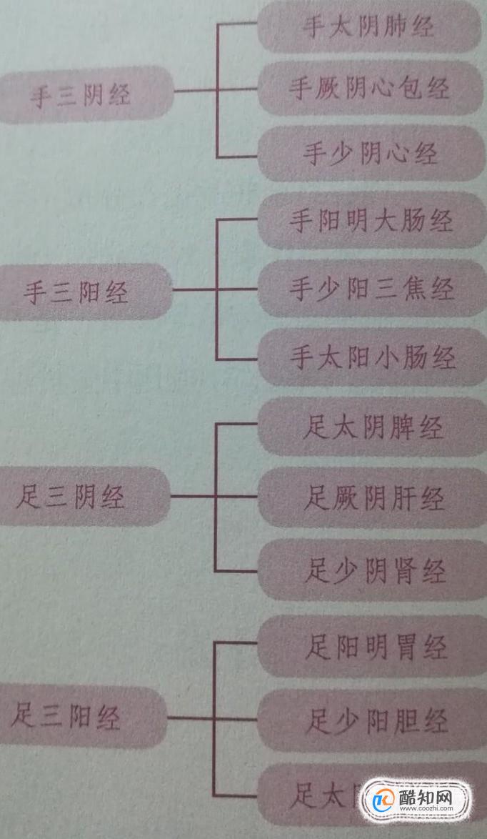 哪些穴位对生活中普遍的健康问题有帮助？